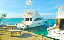 Small Boat at Marley Place