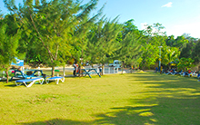 Lawn at Marley Beach